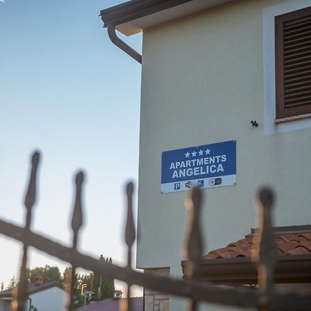 Apartments Angelica 2 Novigrad Istria 外观 照片